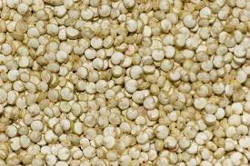 Quinoa