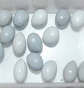 huevos falsos para canarios